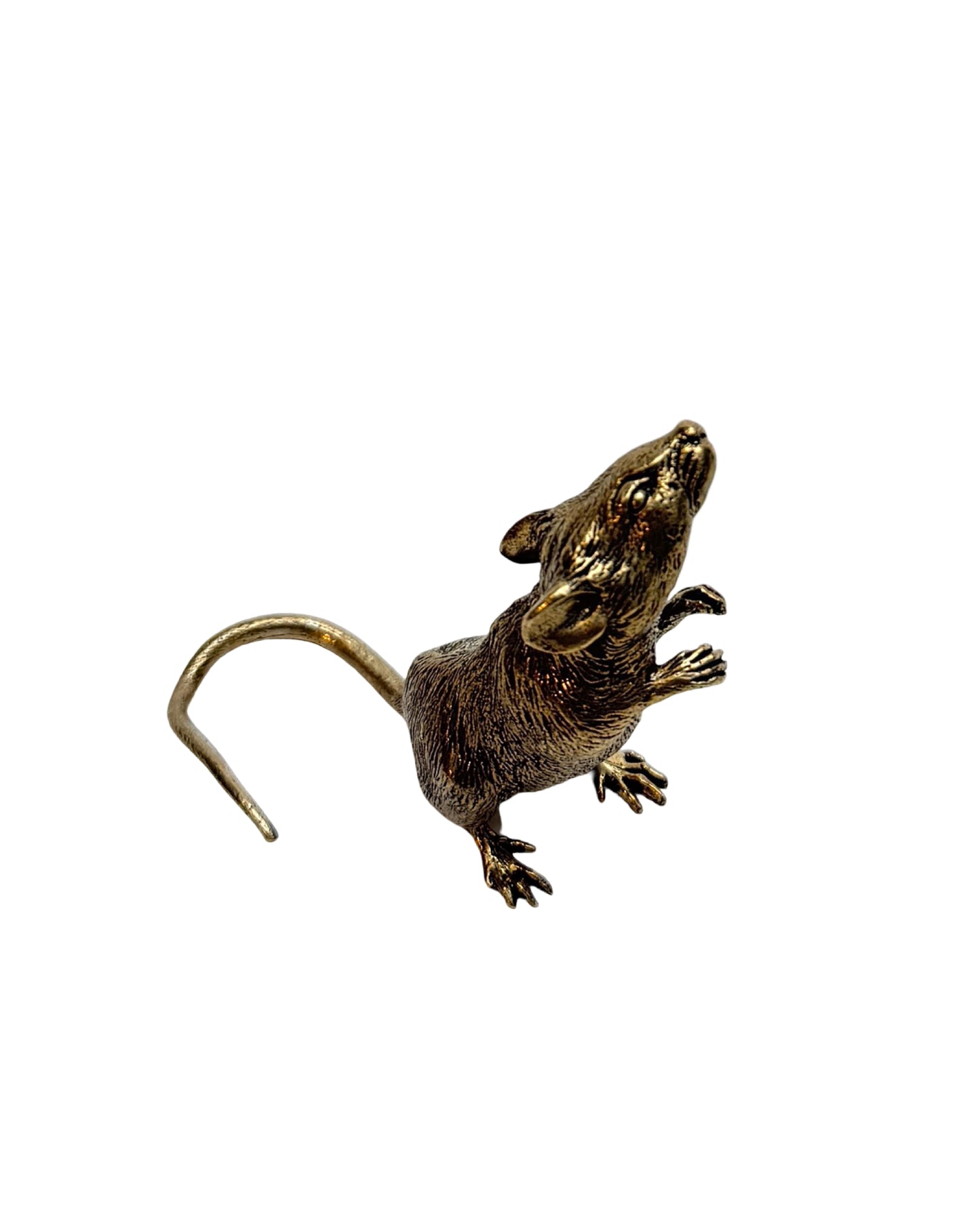 Brass mouse